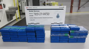 Seizure 1.jpg